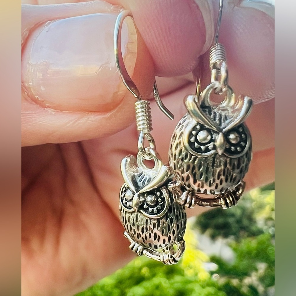 Sweet Dangly Owl Earrings